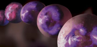 Células madre hematopoyéticas