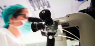 Hemofilia: Diagnóstico de portadora