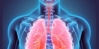 Surprising new role for lungs: making platelets