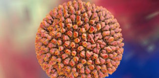 Could celiac disease be triggered by a common virus?