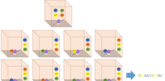 Secuenciación de Tercera Generación