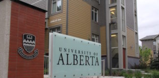 Un modelo matemático describe la progresión del VIH en el cerebro