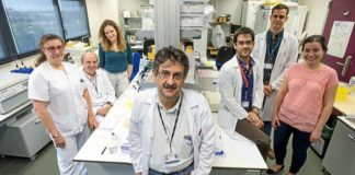 Nuevo biomarcador de riesgo vascular en enfermos con aPL