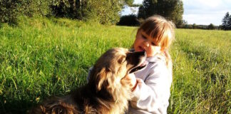 Presencia de bacterias fecales resistentes a antibióticos en la boca de perros y gatos