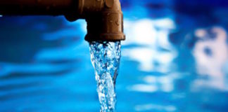 ¿Cuántos protozoos hay en el agua que bebemos?