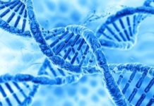 Identificado un marcador genético para detectar a los pacientes con riesgo alto a tener gripe