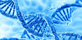 Identificado un marcador genético para detectar a los pacientes con riesgo alto a tener gripe