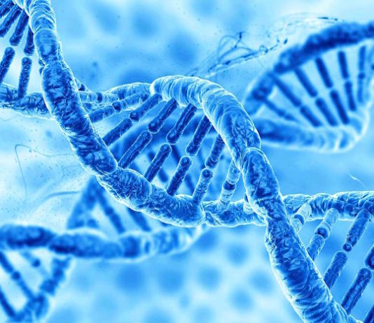 Identificado un marcador genético para detectar a los pacientes con riesgo alto a tener gripe