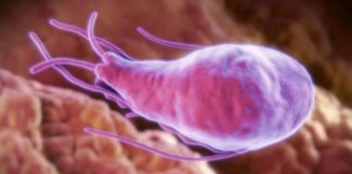 La diarrea del viajero