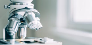 Se ha descubierto una proteína como regulador de autoinmunidad