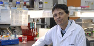 ¿Y si no fuera el sodio el culpable de la hipertensión?