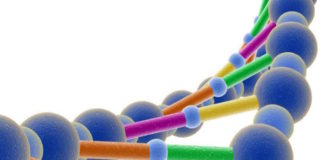 La causa de muchos cánceres son errores en el ‘corrector’ del ADN