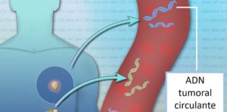 Nuevo método permite detectar en sangre mutaciones presentes en los tumores tempranos