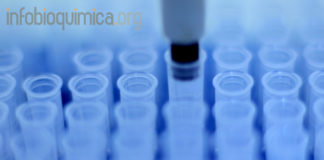 Existe evidencia genética de que se está produciendo selección natural en humanos