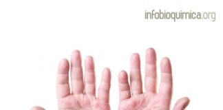 Concentración sérica de prolactina en la dermatitis atópica y su relación con la gravedad de la enfermedad