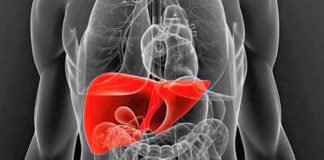 Una enzima producida en el hígado promueve la obesidad, el hígado graso y la resistencia a la insulina