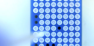 El alcohol puede dañar el ADN en las células madre