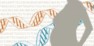 El análisis de los 24 cromosomas podría detectar el riesgo de complicaciones en el embarazo