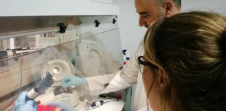 Nueva técnica más precisa para diagnosticar Enfermedad de Chagas