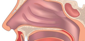 Screening for Epstein-Barr Virus DNA to Find Early Stage Nasopharyngeal Cancer