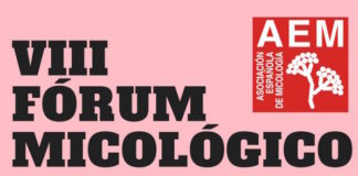 VIII AEM Fórum Micológico Alicante 2017