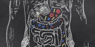 La microbiota intestinal afecta al éxito de la inmunoterapia contra el cáncer
