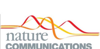 La exposición previa al virus Dengue podría brindar protección cruzada contra el Zika