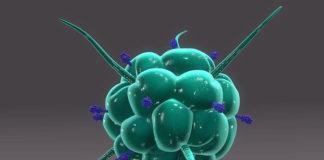 Investigadores han identificado un nuevo proceso biológico capaz de mejorar la resistencia al cáncer