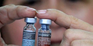 La vacuna contra el dengue es eficaz sólo si la persona vacunada sufrió dengue previamente