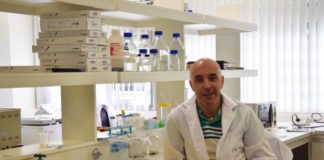 Descubren gen que puede actuar como promotor o supresor de la formación de tumores