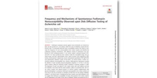 Frequency and Mechanisms of Spontaneous Fosfomycin Nonsusceptibility Observed upon Disk Diffusion Testing of Escherichia coli
