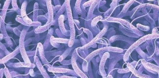 Satellites Predict a Cholera Outbreak Weeks in Advance