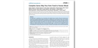 Complete Genes May Pass from Food to Human Blood