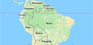 La epidemia en Brasil podría reintroducir la fiebre amarilla en Argentina