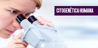 Curso online de Citogenética Humana