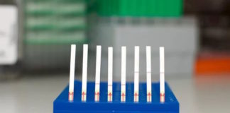 El primer kit diagnóstico basado en CRISPR cabe en una minúscula tira de papel