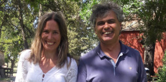 Estudian nuevas blancos terapéuticos contra la toxoplasmosis