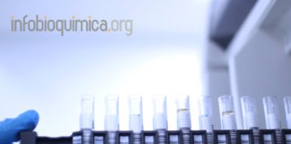 Vitamina D vinculada a baja tasa de mortalidad por virus