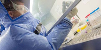 Prevenir la próxima pandemia