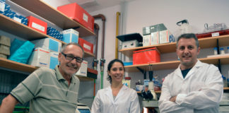 ¿Cuáles son las bacterias presentes en la leche materna?