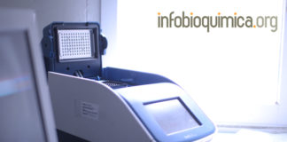 Estudios genéticos en las Neoplasias Endócrinas Múltiples