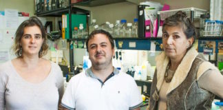 Científicos del Leloir avanzan en el estudio de una enigmática familia de cuerpos subcelulares