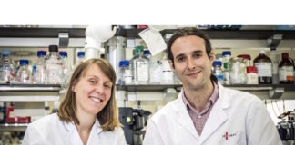 Genoma de la leucemia linfática crónica