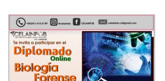 Diplomado online sobre Biología Forense e Investigación Criminal