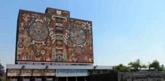 Azotobacter vinelandii, la bacteria capaz de crear plásticos sin impacto ambiental