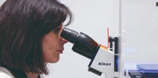 Las marcas que se heredan