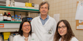 El espermatozoide cumple más funciones que la de transmitir al embrión el genoma paterno