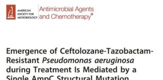 Aparición de Pseudomonas aeruginosa resistente a Ceftolozane-Tazobactam