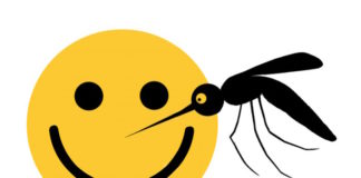 Salvando vidas con emojis