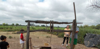Identifican en Tucumán bacterias que vuelven más tóxico al arsénico del agua